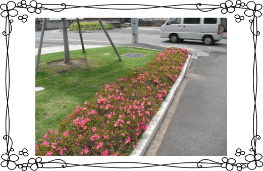 みどり園付近の散歩コースの花壇の写真